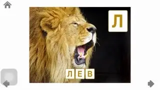Алфавит для детей. Животный мир.