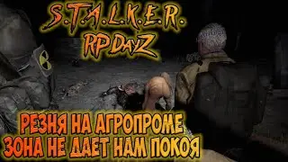 STALKER RP DayZ Резня на Агропроме!