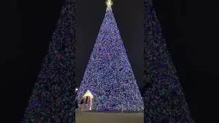 Daniel’s New Year/ Christmas Tree / Данила пишет смотреть Новогоднюю Елку
