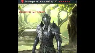 Гайд обзор героя Маркграф Соколиный Raid Shadow Legends