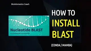 How to Install BLAST in Linux using Conda | Mamba | NCBI BLAST Tutorial