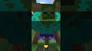 Types of Spawns in Minecraft