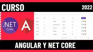 .NET Core 6 y Angular - Curso