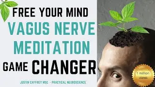 15 Minute NSDR Vagus Nerve Meditation