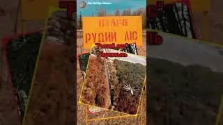 Кладбище техники Чернобыль