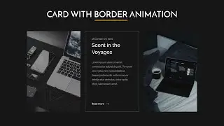 CSS Responsive Card Hover Effect With Border Animation | Card Hover Effects | HTML/CSS