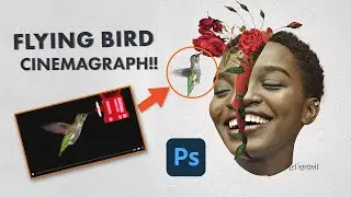 Flying Bird Cinemagraph - Photoshop Tutorial