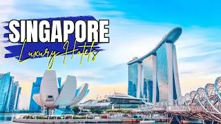 Top 10 Best Cheap & Luxury hotels in Singapore (2024)