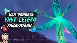 Унут Сетеха - Как убивать - где найти  - гайд | Genshin Impact