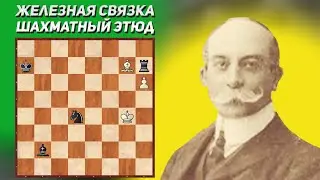 Железная связка. Шахматный этюд. Жан Вильнев-Эсклапона, 1923 год. Шахматная композиция. Шахматы.