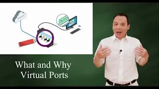 What and why virtual ports (port address)?