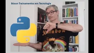 Porque eu não usaria o Python - Problemas da linguagem