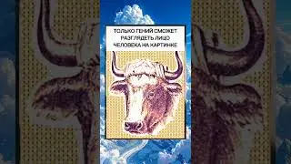 Есть ли гении?   