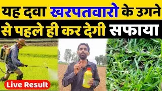 यह दवाई खरपतवारो को उगने से पहले ही सफाया कर देती है | Pendamethalin 30% EC Use In Hindi