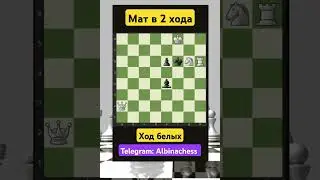 Telegram: Albinachess #chess #шахматы #chorts