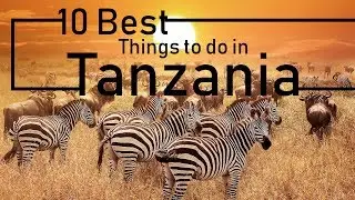 Things To Do And Places To Visit In Tanzania | Must-See Attractions