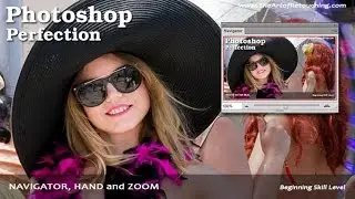 Navigator Palette, Hand & Zoom Tools | Photoshop Beginner's Tutorial