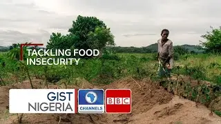 Food Insecurity In Nigeria: A Call To Action