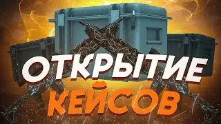 STALCRAFT | Мужик ест чипсы и открывает кейсы