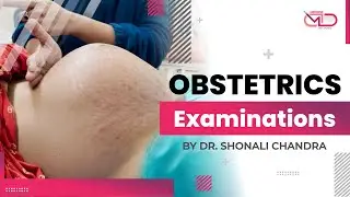 How to do Obstetric Examination? Leopold Maneuvers | Obs-Gyne Full Course Launched