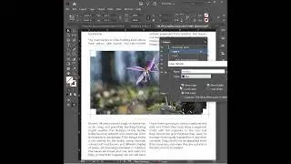 The Learnit Minute - Layers #InDesign #Shorts