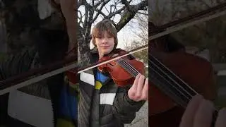Ні Янічка, ні Павлічка - скрипка - Богдан Пилипяк - Pylypyak TV #весільніпісні  #українськіпісні