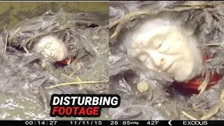 What This Trail Cam Caught During Camping Will Terrify You