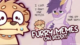 Reddit Furry Memes Are Getting Out Of Hand