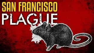 The Bubonic Plague in San Francisco