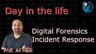 Day in the Life of DFIR - interview with Professor Ali Hadi, Ph.D., Senior Cybersecurity Specialist.