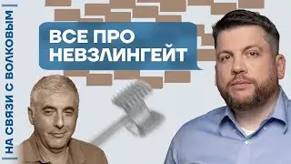 ❓ На связи с Волковым | Всё про Невзлингейт