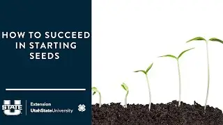 How to Succeed at Starting Seeds