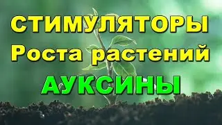 СТИМУЛЯТОРЫ РОСТА РАСТЕНИЙ АУКСИНЫ. Всегда хороший урожай!