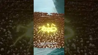 How Ant Colonies Evacuate During Floods 🤔
