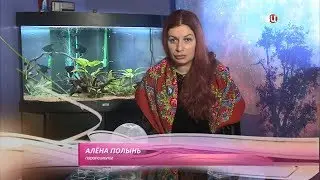 Загадочные исчезновения. Алена Полынь на ТВЦ.