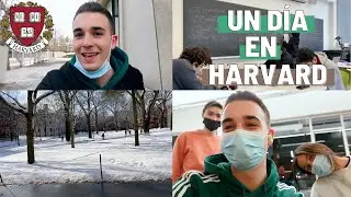 Un día en mi vida en HARVARD (spring edition)