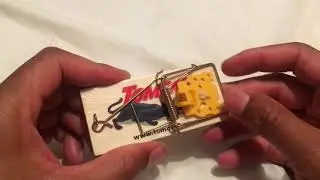 SET A MOUSE TRAP - HOW TO