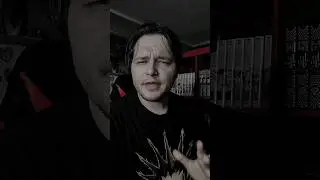 Что увидела эта собака? 