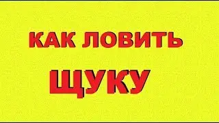 БЕЗ РЫБЫ БОЛЬШЕ НЕ БУДЕШЬ ЕСЛИ ЛОВИТЬ ЩУКУ ТАК Ловля щуки в глухозимье