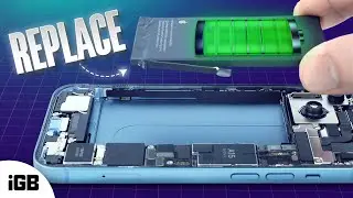 When to Replace iPhone Battery? Avoid Non-Genuine and Get Original One