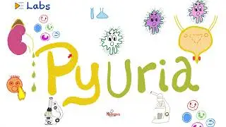 Pus in the Urine (Pyuria) - Urinary Tract Infections (UTI) - Urinalysis - Labs