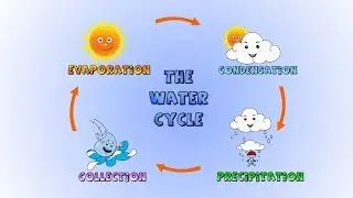 The Water Cycle- How rain is formed-Lesson for kids