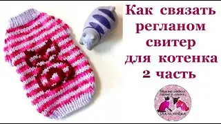 Как связать регланом свитер для котенка 2 часть