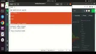 I'll Do Netdata  Monitoring Tool Services Retated Gigs