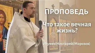 Что такое вечная жизнь?