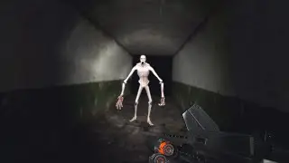 Gmod is definitely a horror game