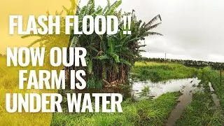 THE FARMSTEAD | FLASH FLOOD Now Our Farm Is UNDER WATER | BONUS VIDEO!!