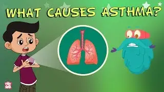 What Causes Asthma? | The Dr. Binocs Show | Best Learning Videos For Kids | Peekaboo Kidz