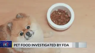 Pet Patrol: How to submit pet food complaints to FDA after well-known brand is investigated