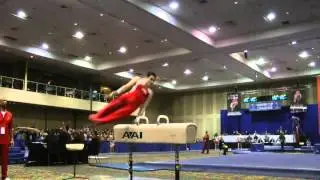 Pommel horse - Russian wendeswing over both pommels (E)